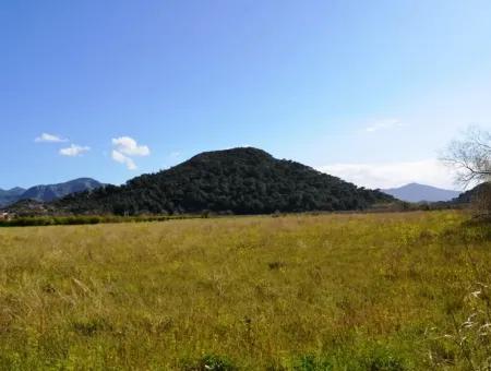 Farm For Sale Bargain In Dalyan