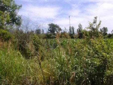 Oriya Land Near Main Road For Sale In Fethiye