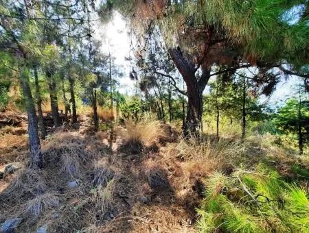 Plot Of Land With Sea Views For Sale In Fethiye Ciftlikkoy