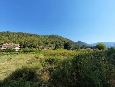 Vineyard Garden Zoning Land For Sale In Gocek Inlice