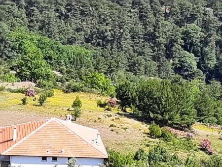 Köycegiz Yayla, Agla Village For Sale Detached Land Suitable For Investment With Lake View