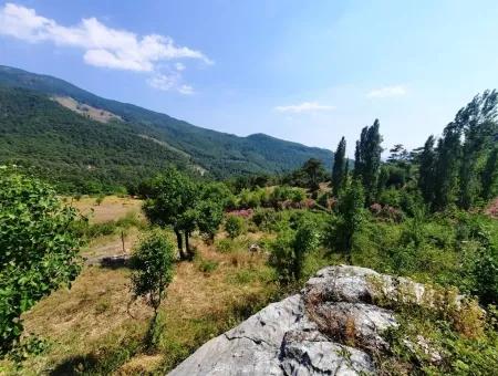 Köycegiz Yayla, Agla Village For Sale Detached Land Suitable For Investment With Lake View