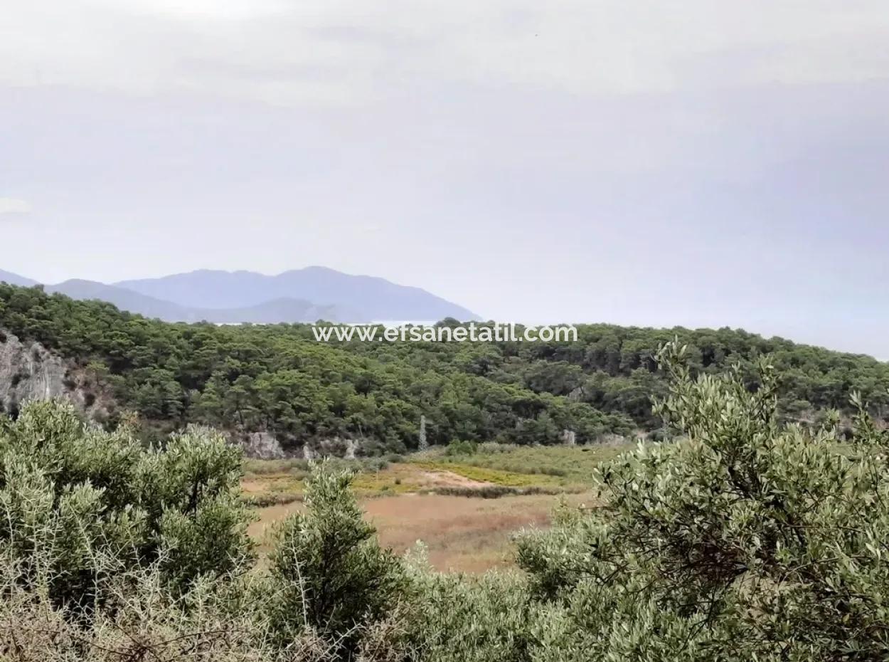 Muğla Ortaca Sarıgermede 880 M2 Full Deniz Ve Doğa Manzaralı Arsa Satılık