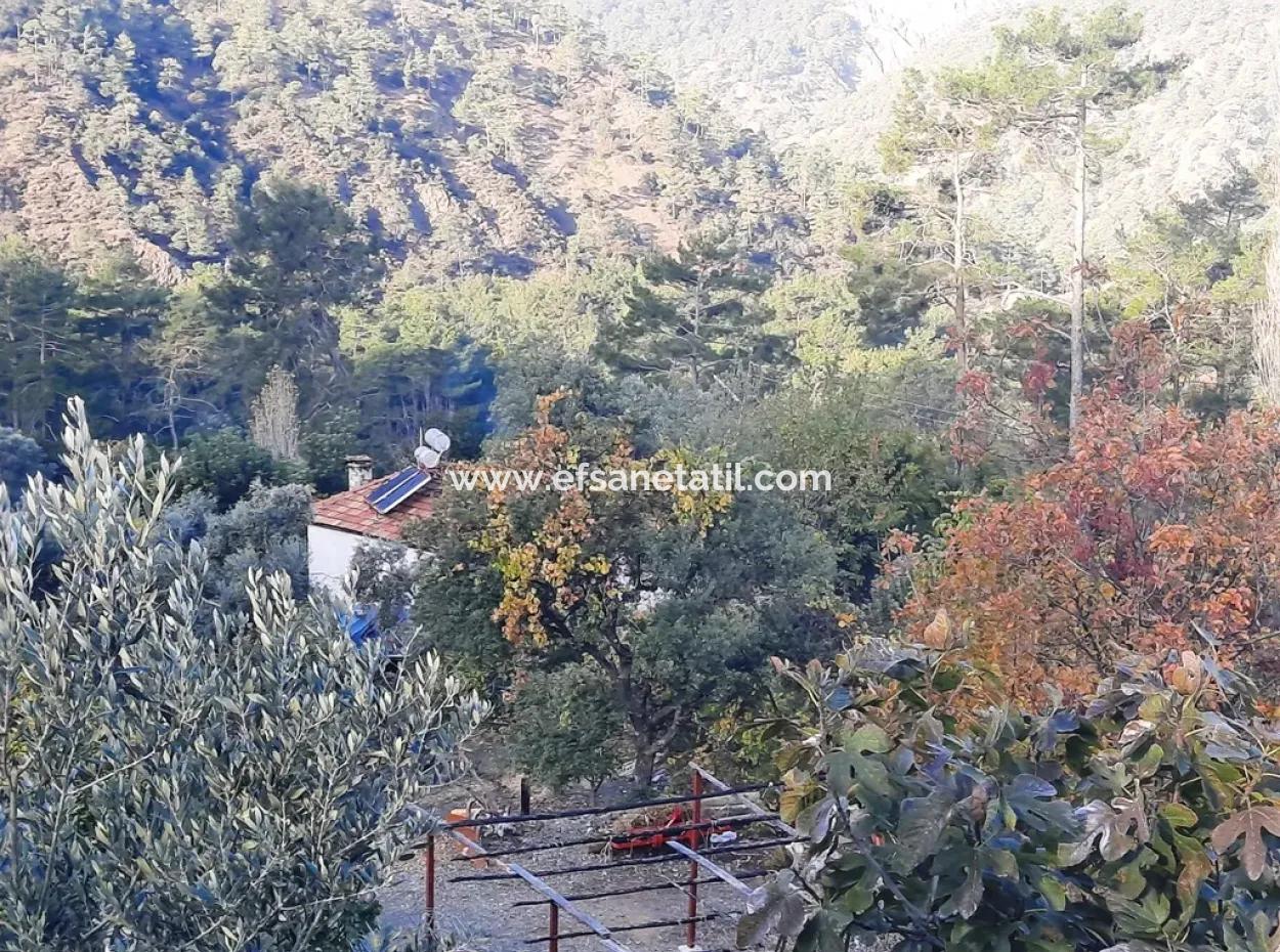 Muğla Dalaman Narlıda Satılık 1800 M2 Kelepir Arazi