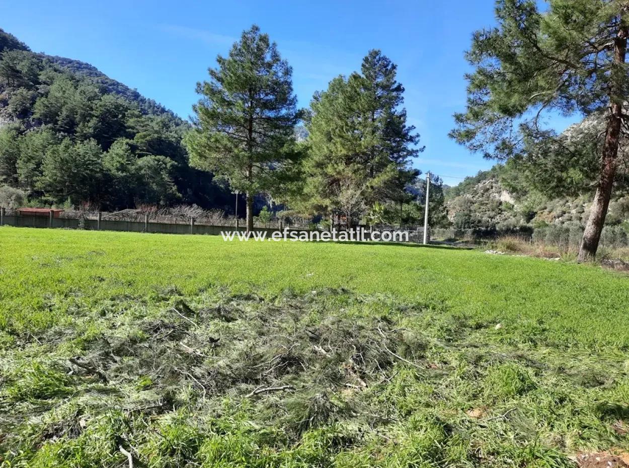 Ortaca Mergenlide Satılık Dağa Sıfır Yatırıma Kelepir Uygun Arazi