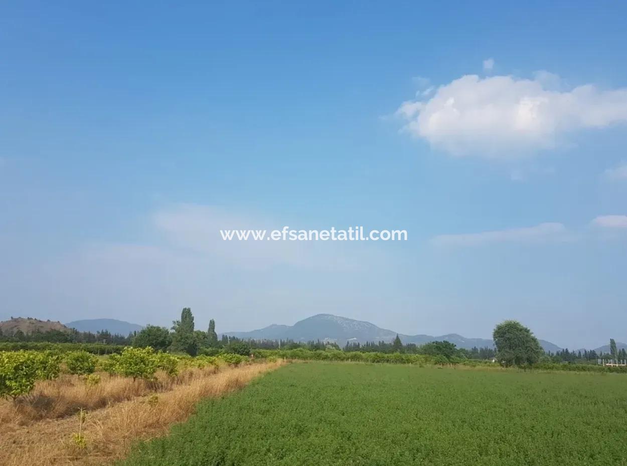 Ortaca Fevziyede Satılık 3700 M2 Verimli Tarla
