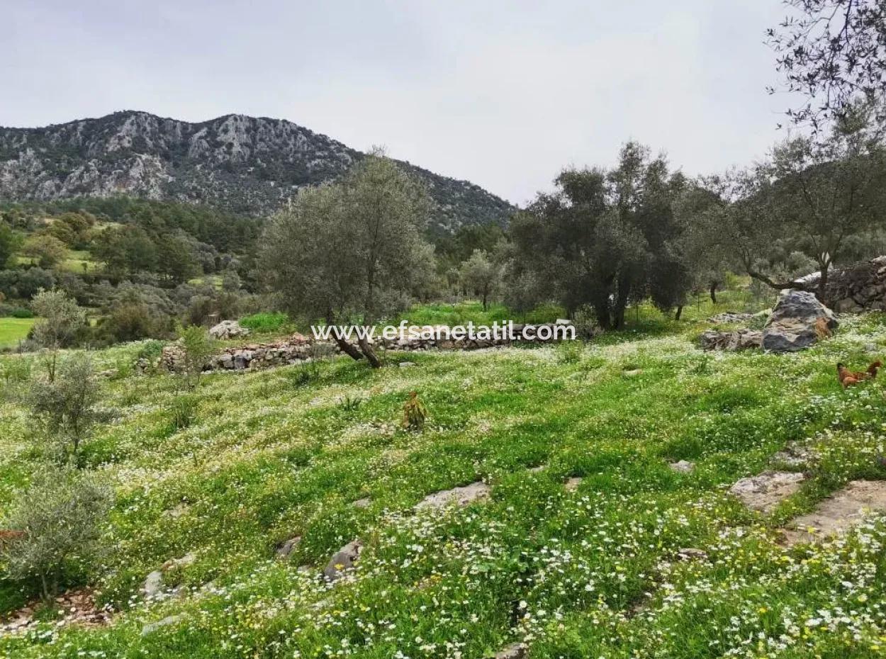 Fethiye Göcek Taşbaşında Satılık Doğa İçinde Müstakil Köy Evi