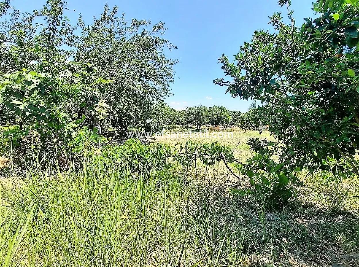 Köyceğiz De Göle Yakın Müstakil Tapulu 2 650 M2 Narenciye Bahçe Satılık Veya Takas Olur