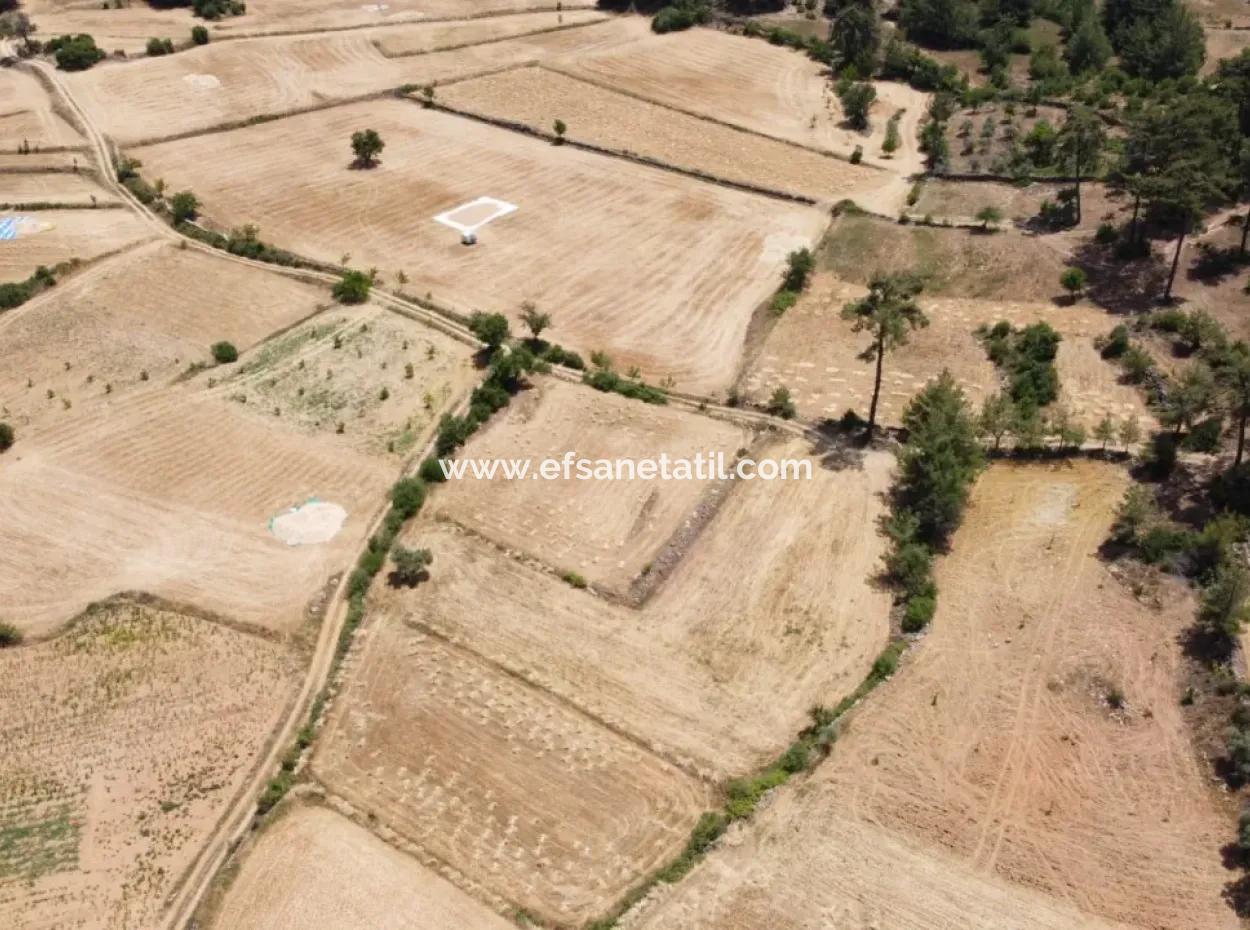 Muğla Menteşe Denizovada 1869 M2 Kelepir Tarla Satılık