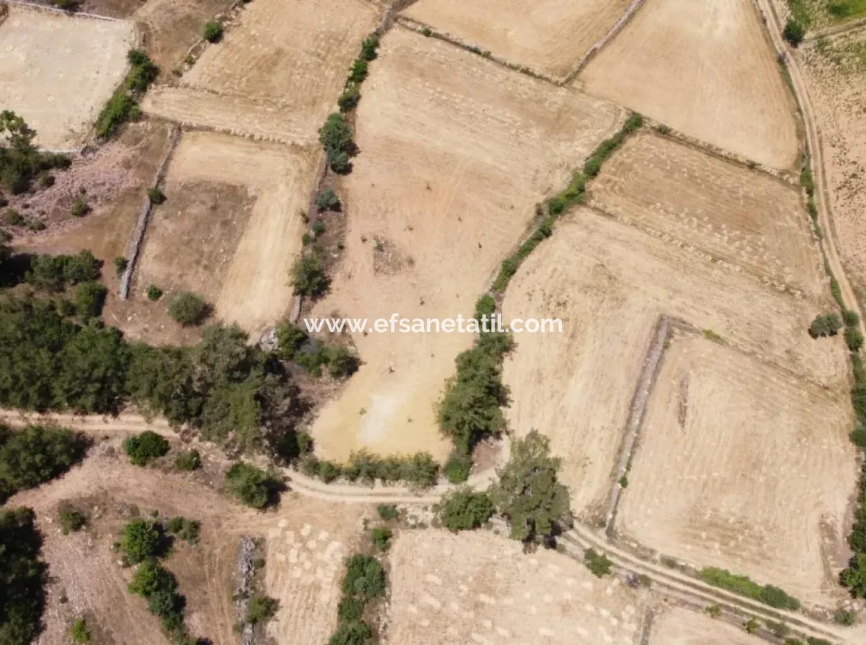 Muğla Menteşe Denizovada 1869 M2 Kelepir Tarla Satılık