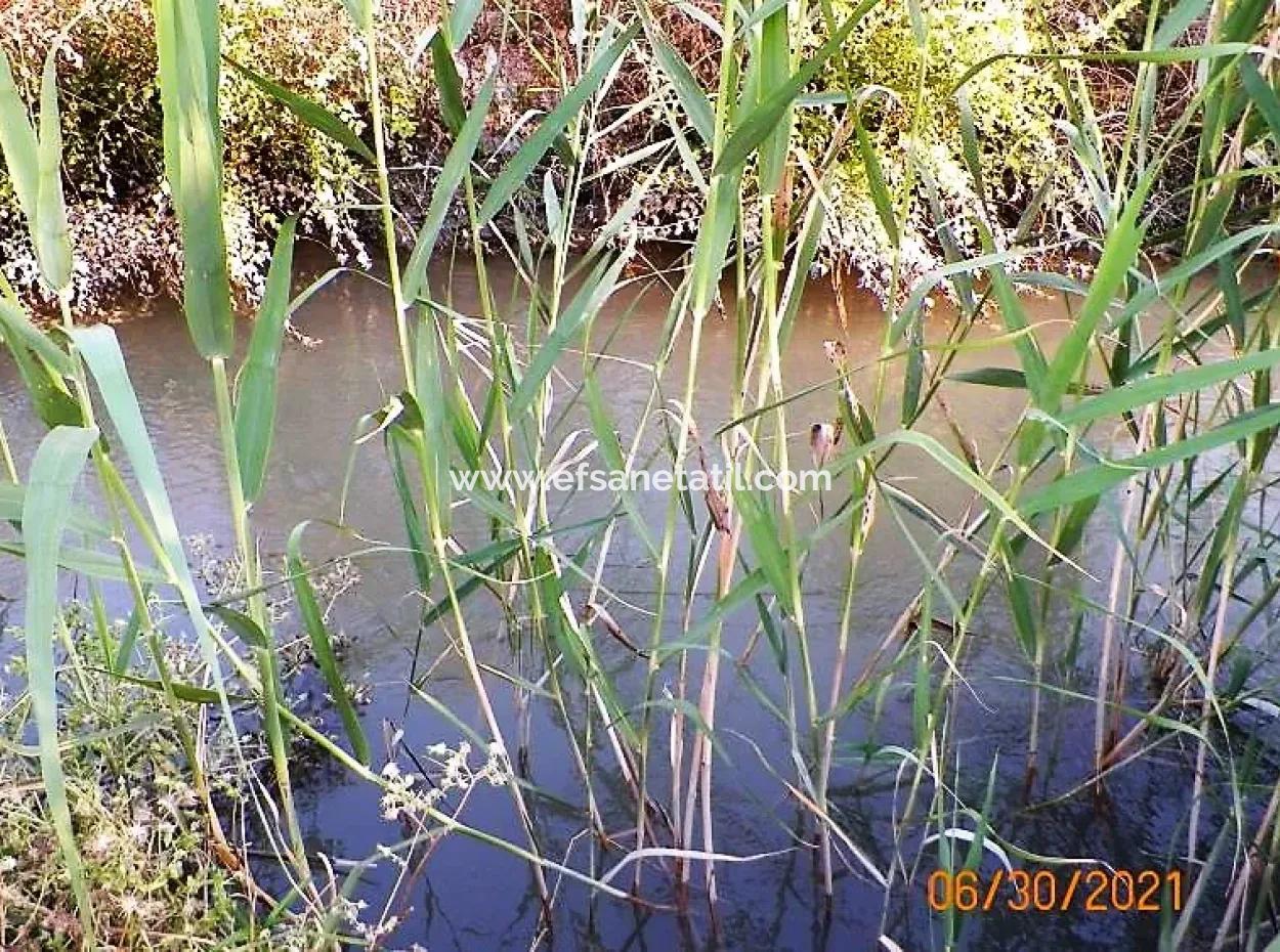 Muğla Ortaca Mergenlide Satılık 10 000 M2 Verimli Arazi