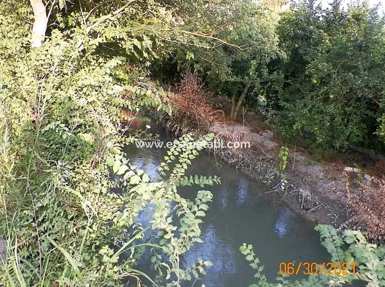 Muğla Ortaca Mergenlide Satılık 10 000 M2 Verimli Arazi