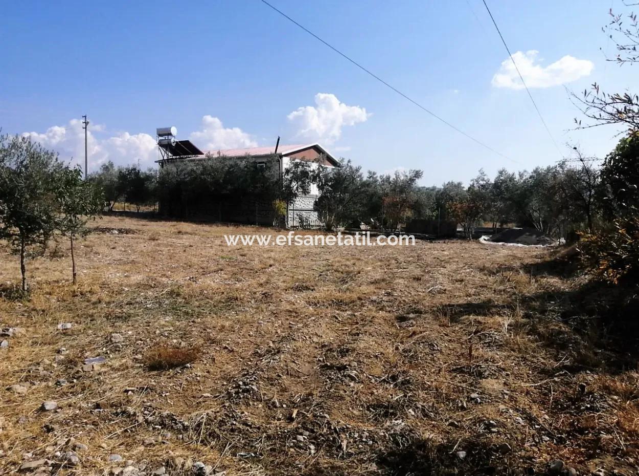 Köyceğiz Zeytinalanında Göl Manzaralı 1992 M2 Arsada 2 Adet Müstakil Ev Satılık