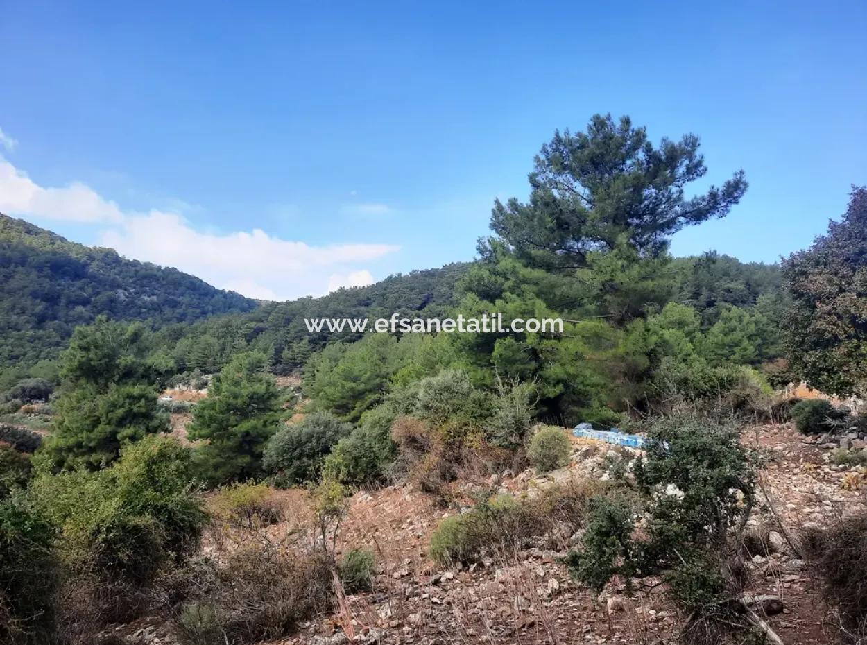 Muğla Dalyan Gökbelde 320 M2 Kelepir Arazi Satılık