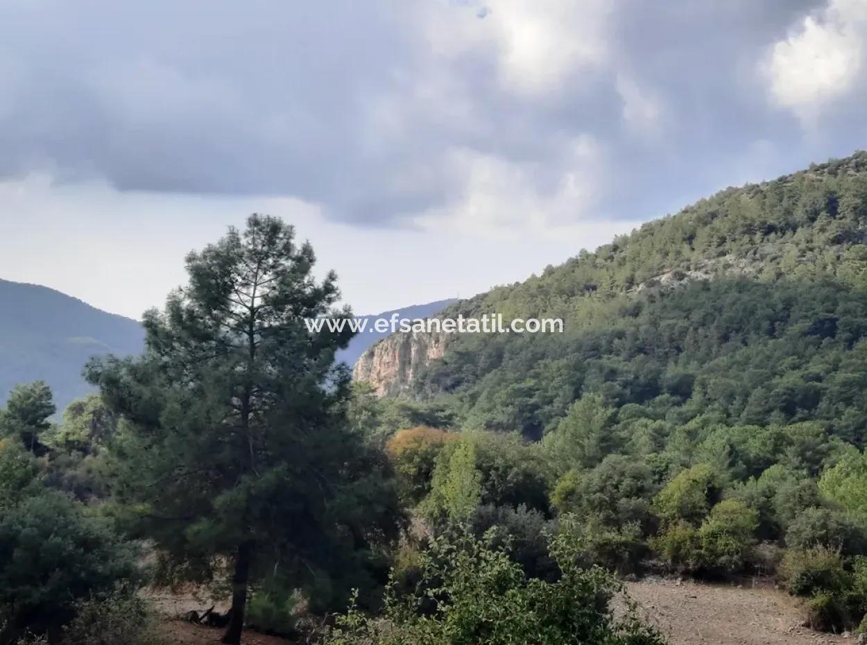Muğla Dalyan Gökbelde 320 M2 Kelepir Arazi Satılık