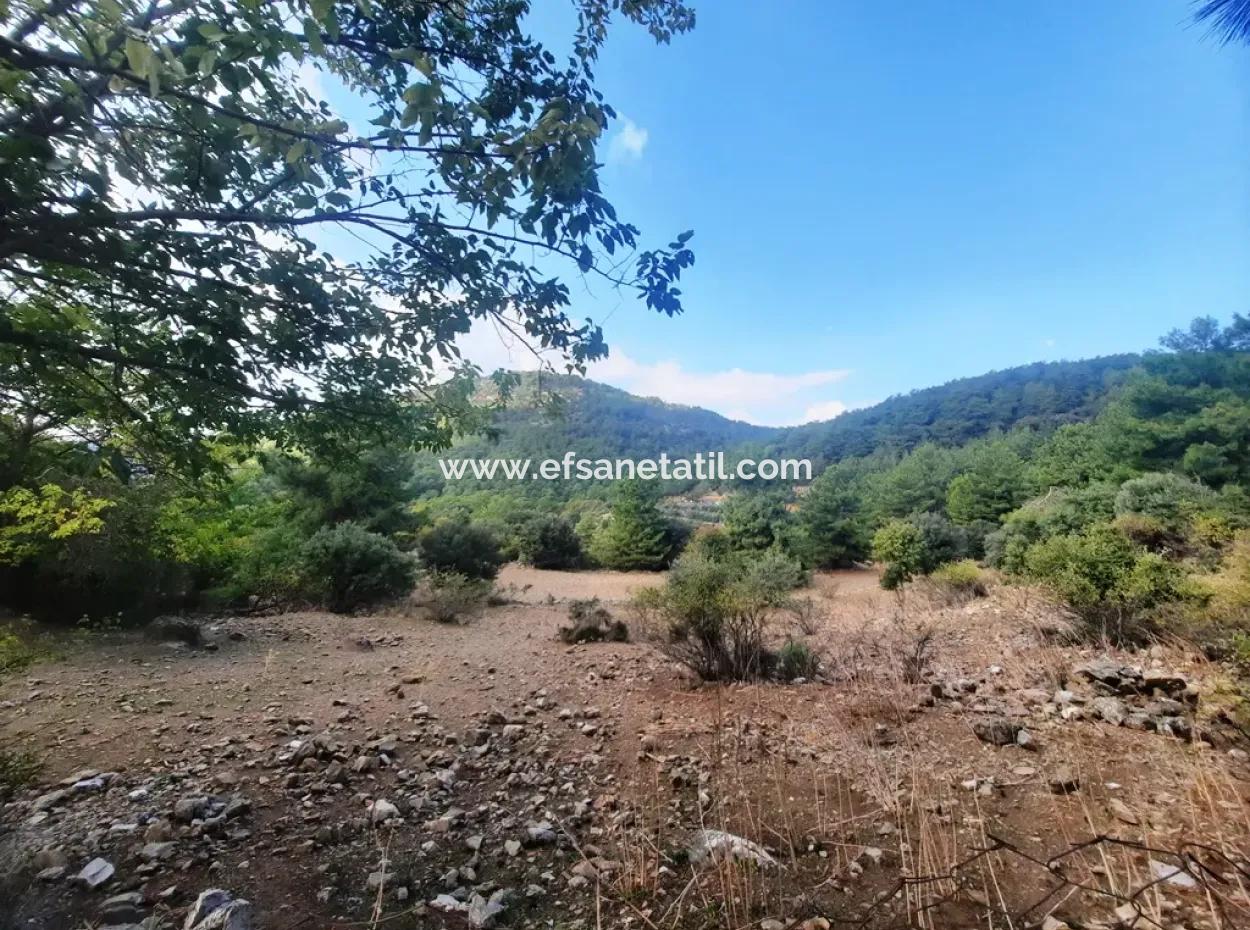 Muğla Dalyan Gökbelde 320 M2 Kelepir Arazi Satılık