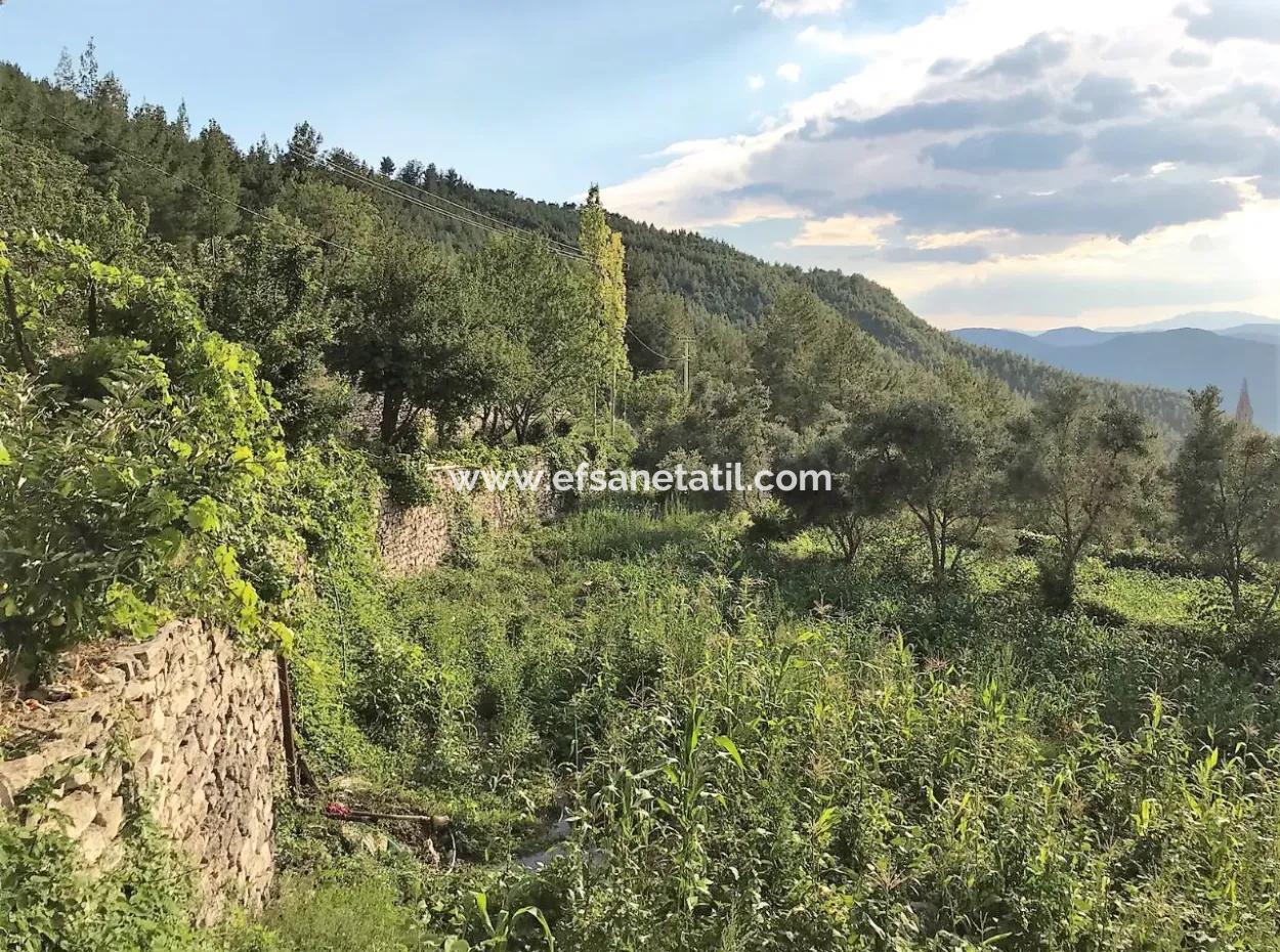 Denizli Çameli Ericekte İçinde 2 Adet Ev Bulunan Arazi Satılık