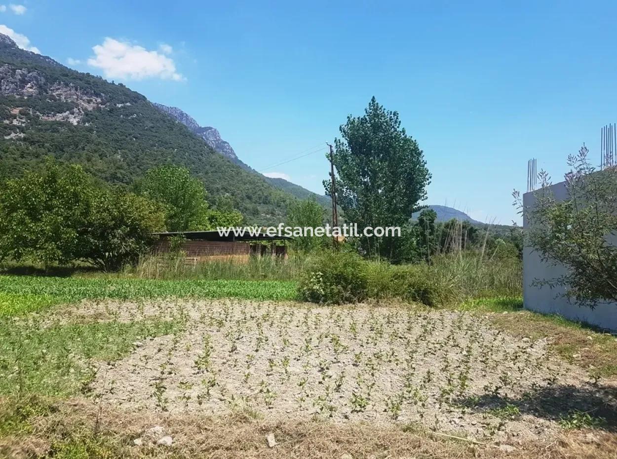 Köyceğizde Satılık Arazi 3700 M2