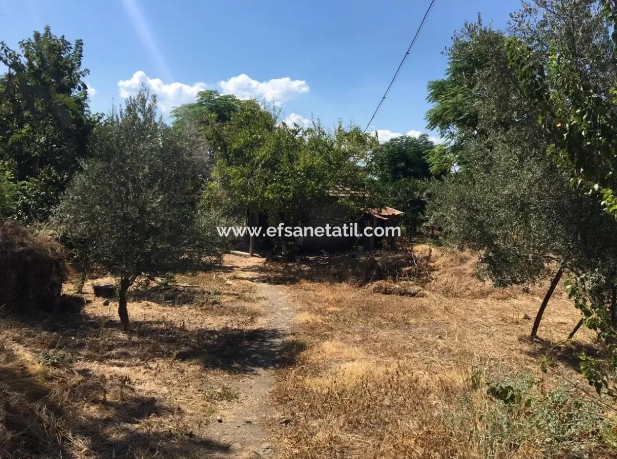 Köyceğiz Köyceğiz Mah. Satılık Köy Evi