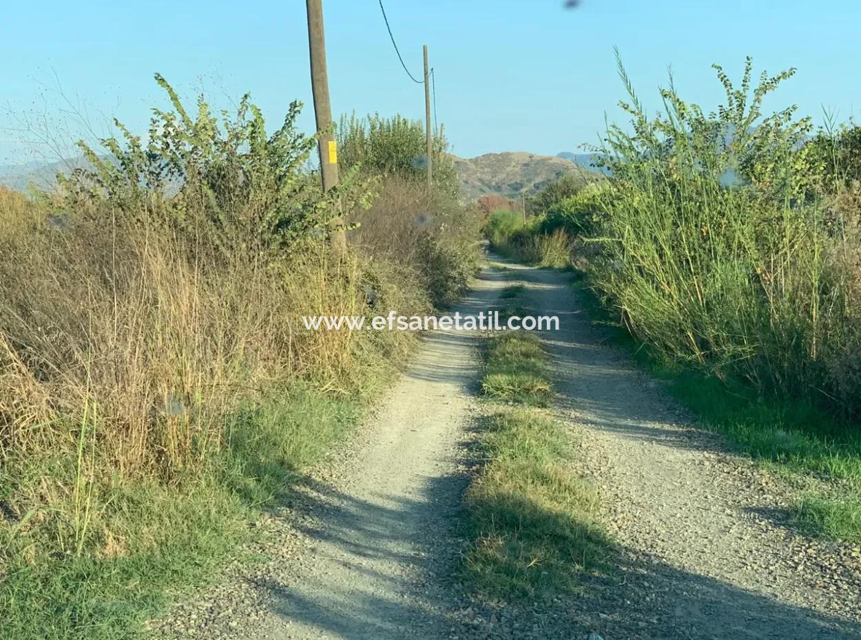 Ortaca Güzelyurt Da Kelepir 28.394 M2 Nin 3000 M2 Si Tarla Satılık