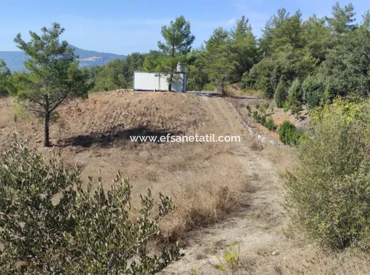 Ula Esentepede 4 200 M2 Deniz Manzaralı Arazi Satılık