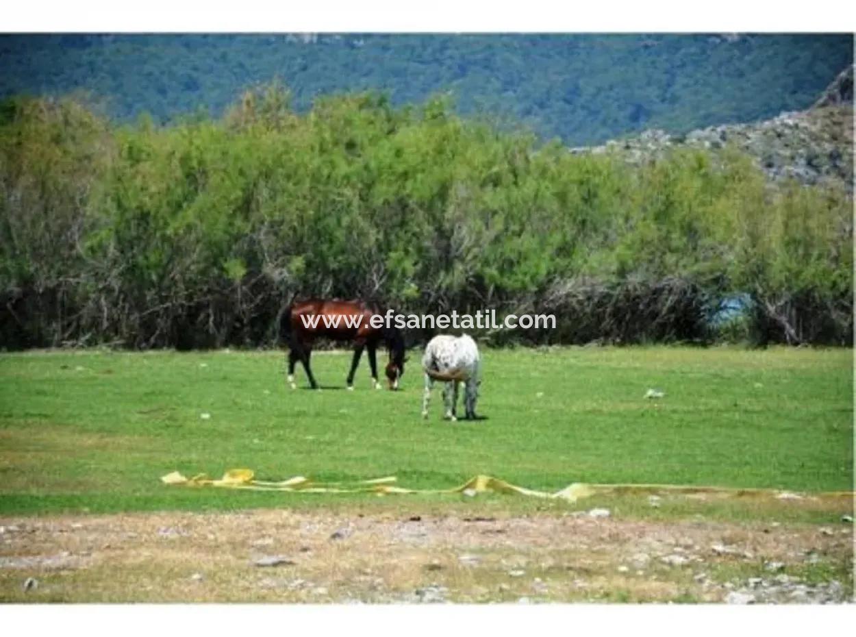 Dalyanda Kanala Sıfır Satılık Müstakil Villa