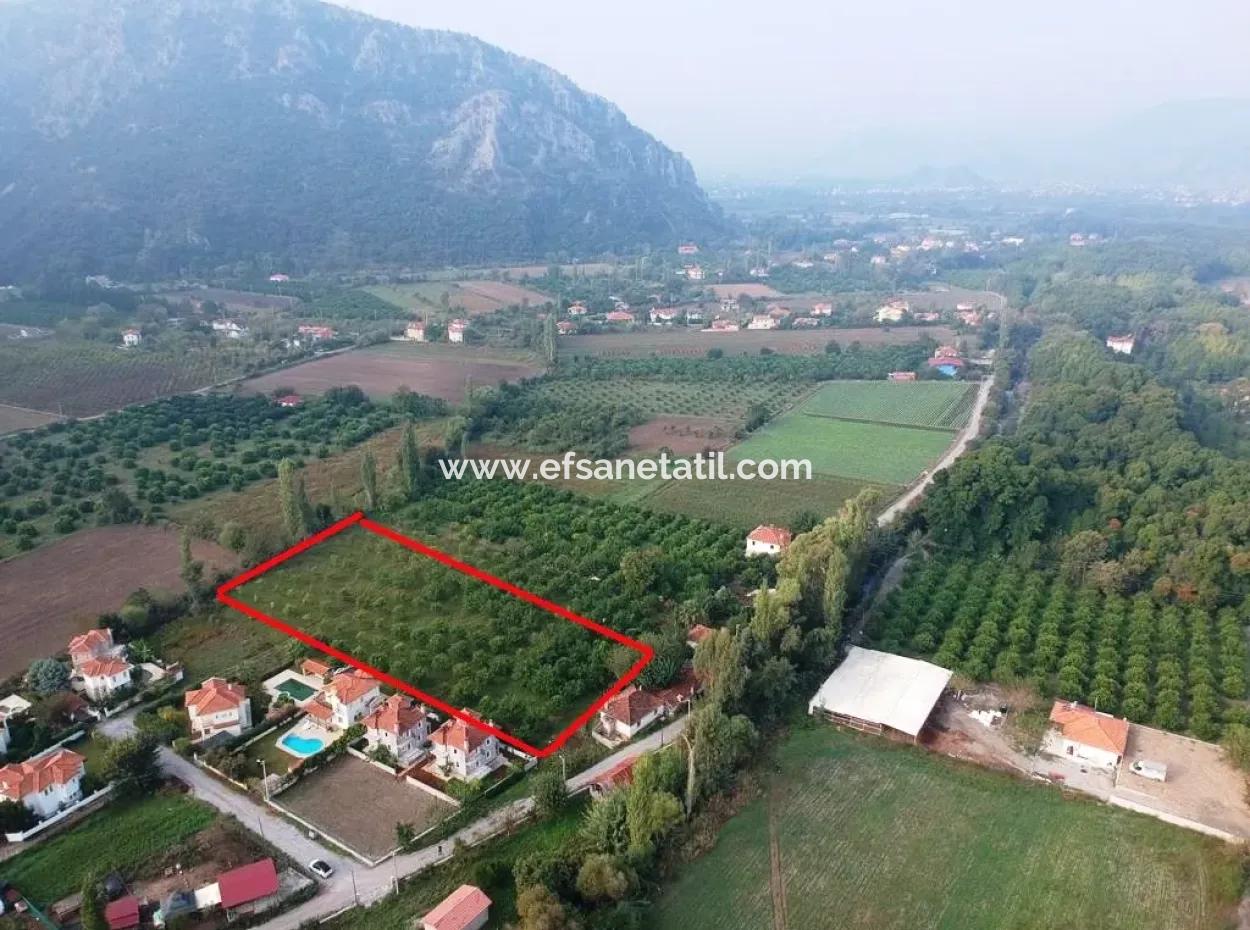 Muğla Ortaca Marmarlıda 4.000 M2  Limon Bahçesi 5 Yıllık Kiralık