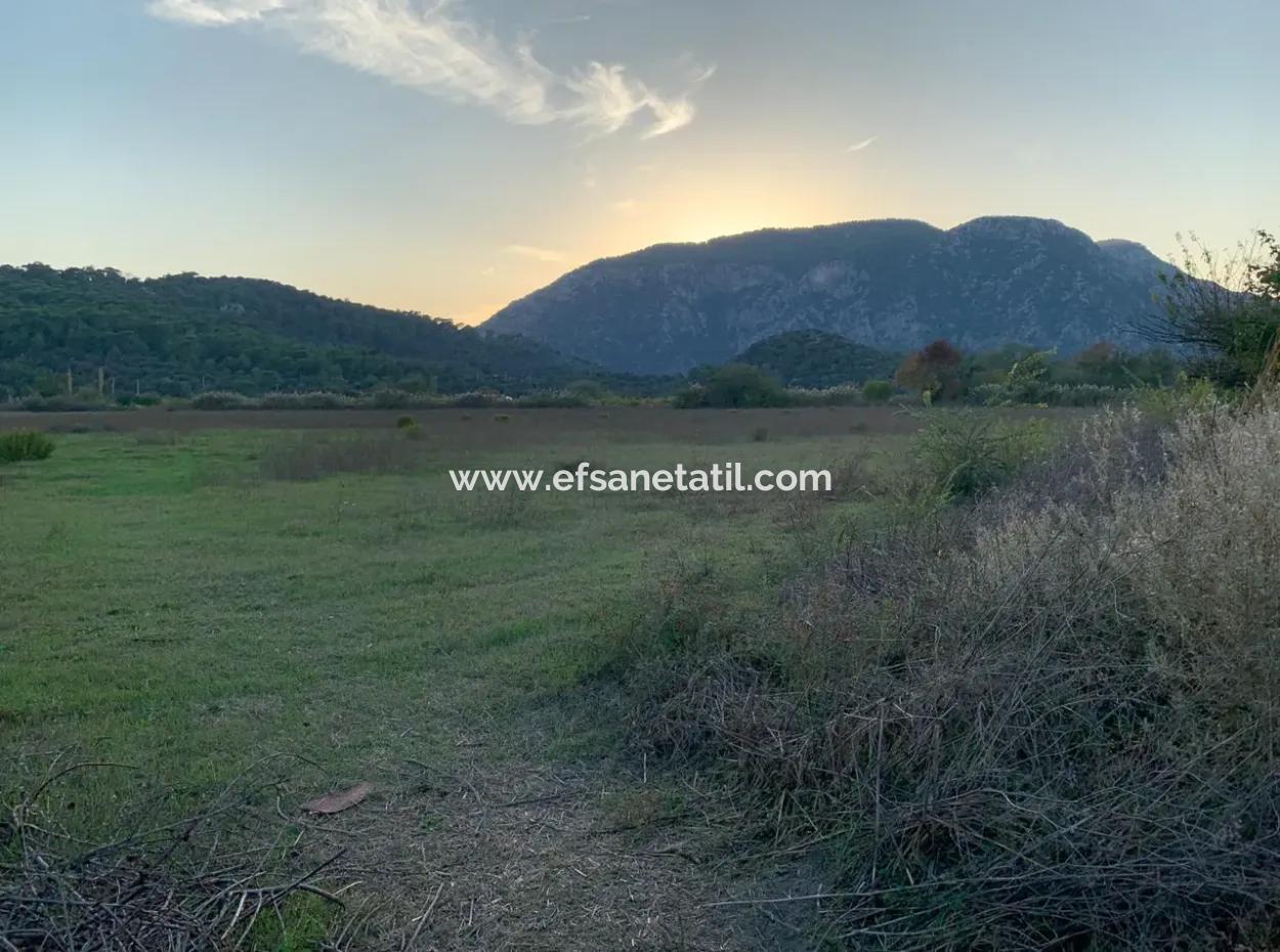 Ortaca Güzelyurt Da 26.200 M2 Müstakil Tarla Ve 3.000 M2 Satılık