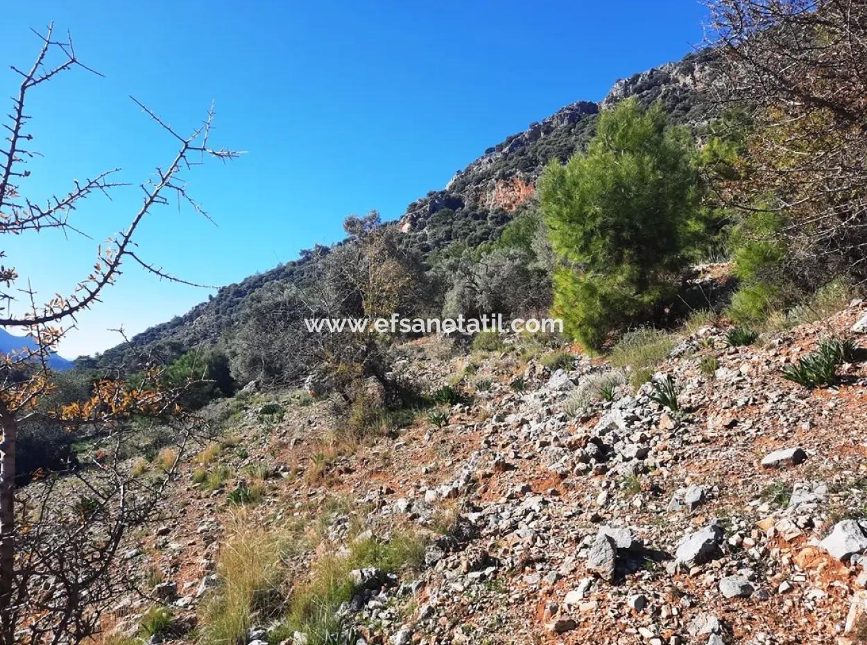 Muğla Ortaca Dalyan Gökbelde 3 100 M2 2B Arazisi Zilliyet Hakkı Devir Edilecek