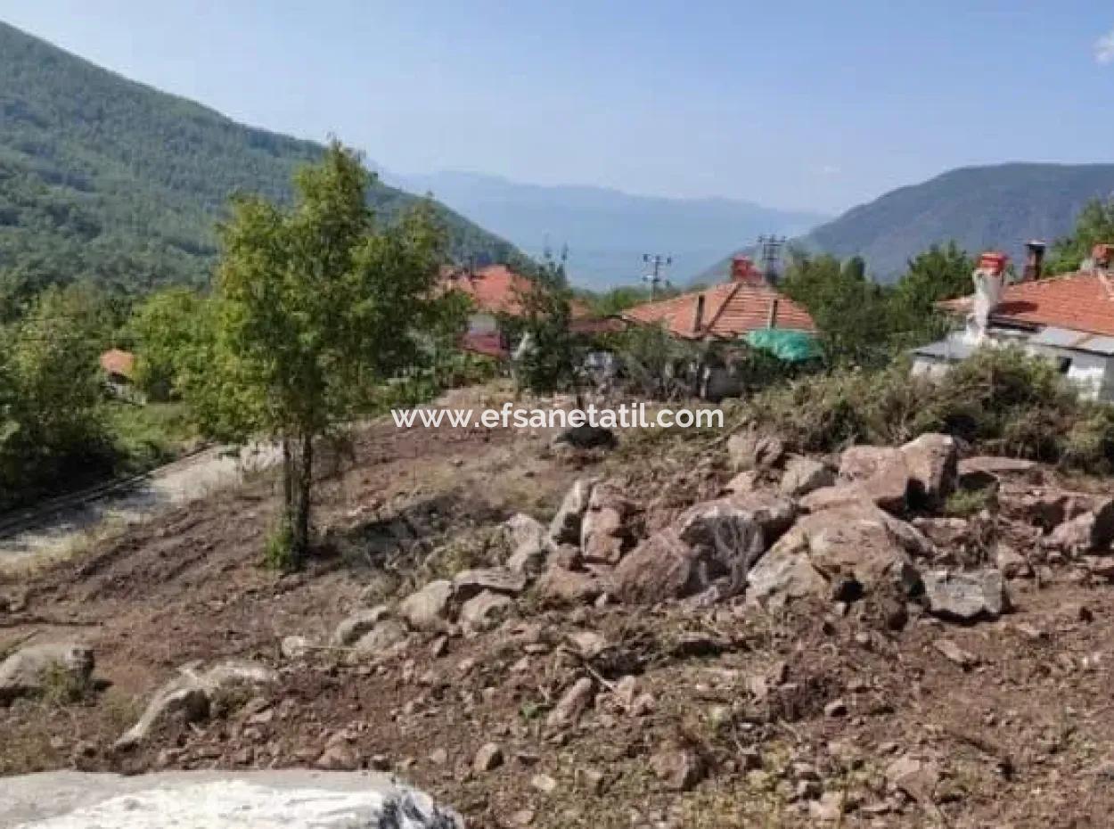 Muğla Köyceğiz Yayla Mah 570 M2 Arsa Satılık