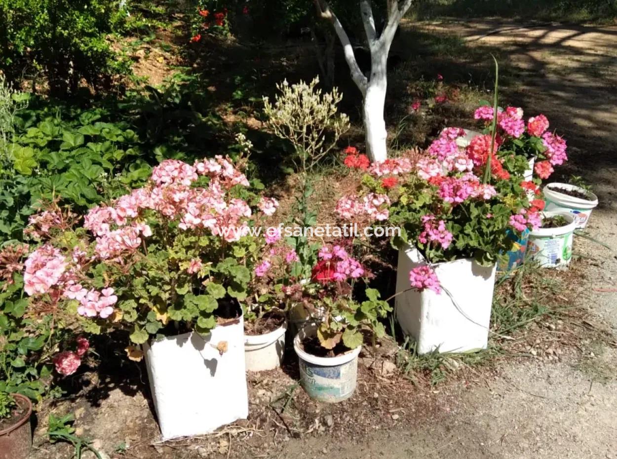 Ortaca Cumhuriyet Mah. 357 M2 Arsa İçinde 3 Katlı Ev Komple Satılık