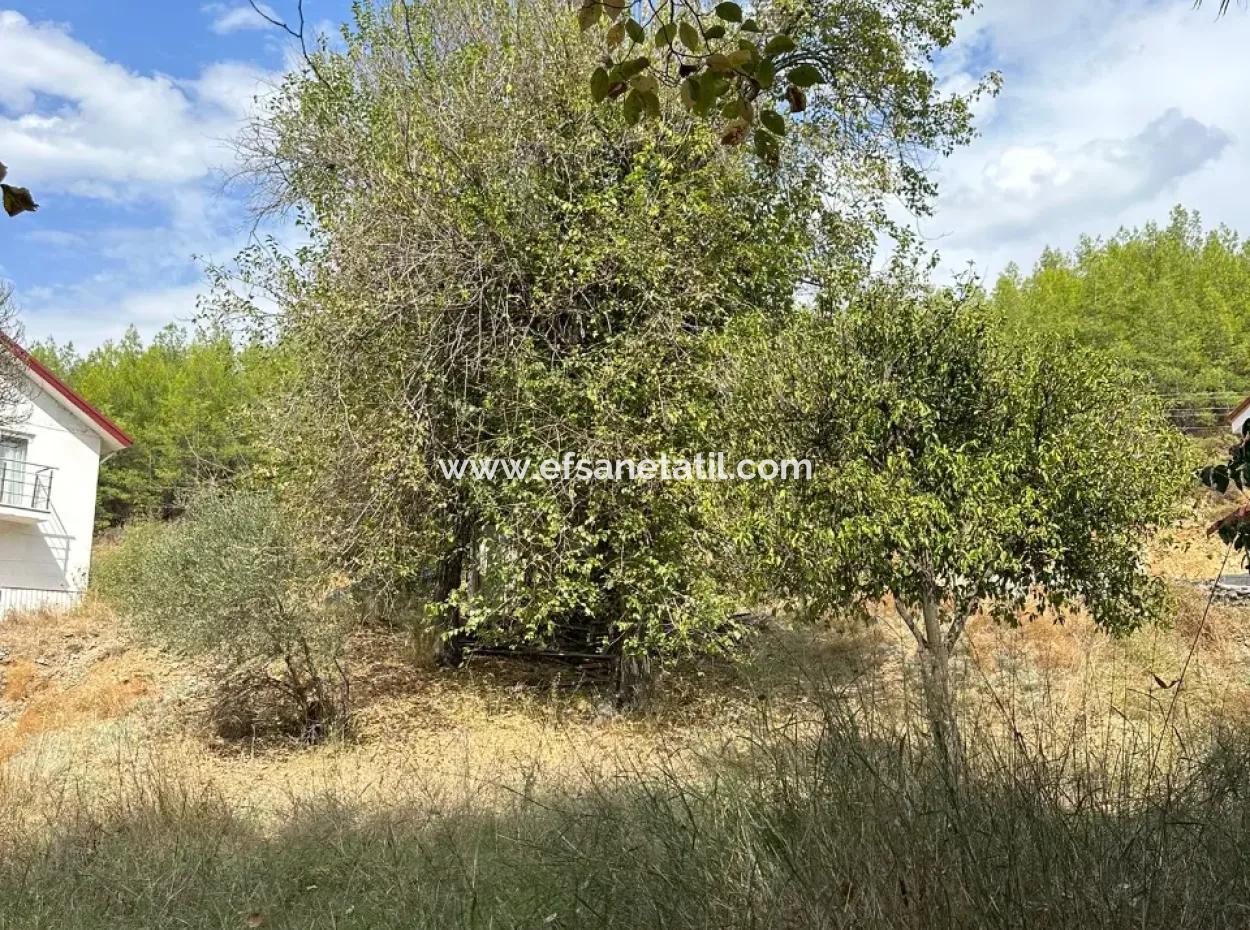 Köyceğiz De 1026 M2 Arsa Satılık