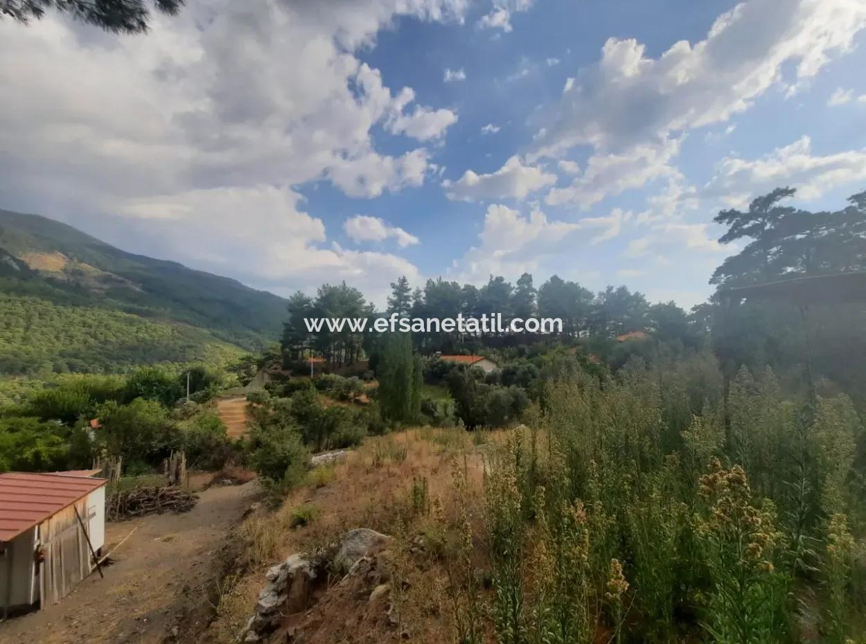 Köyceğiz Ağla Yaylada 550M2 Projesi Hazır, İmarlı Kelepir Arsa Satılık