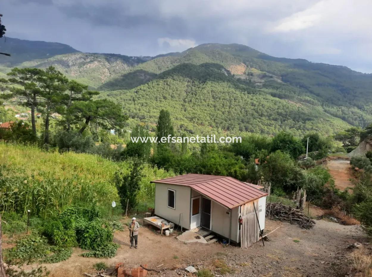 Muğla Köyceğiz Ağla - Yaylada 535 M2 Arsa Ve Tiny House Ev Satılık