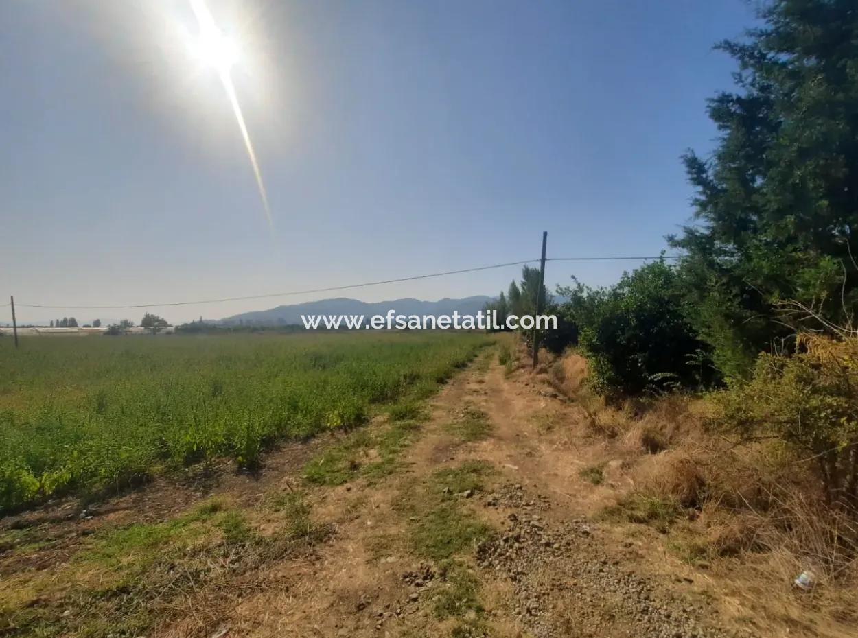 Muğla Ortaca Ekşiliyurtta 8.000 M2 Verimli Arazi Satılık