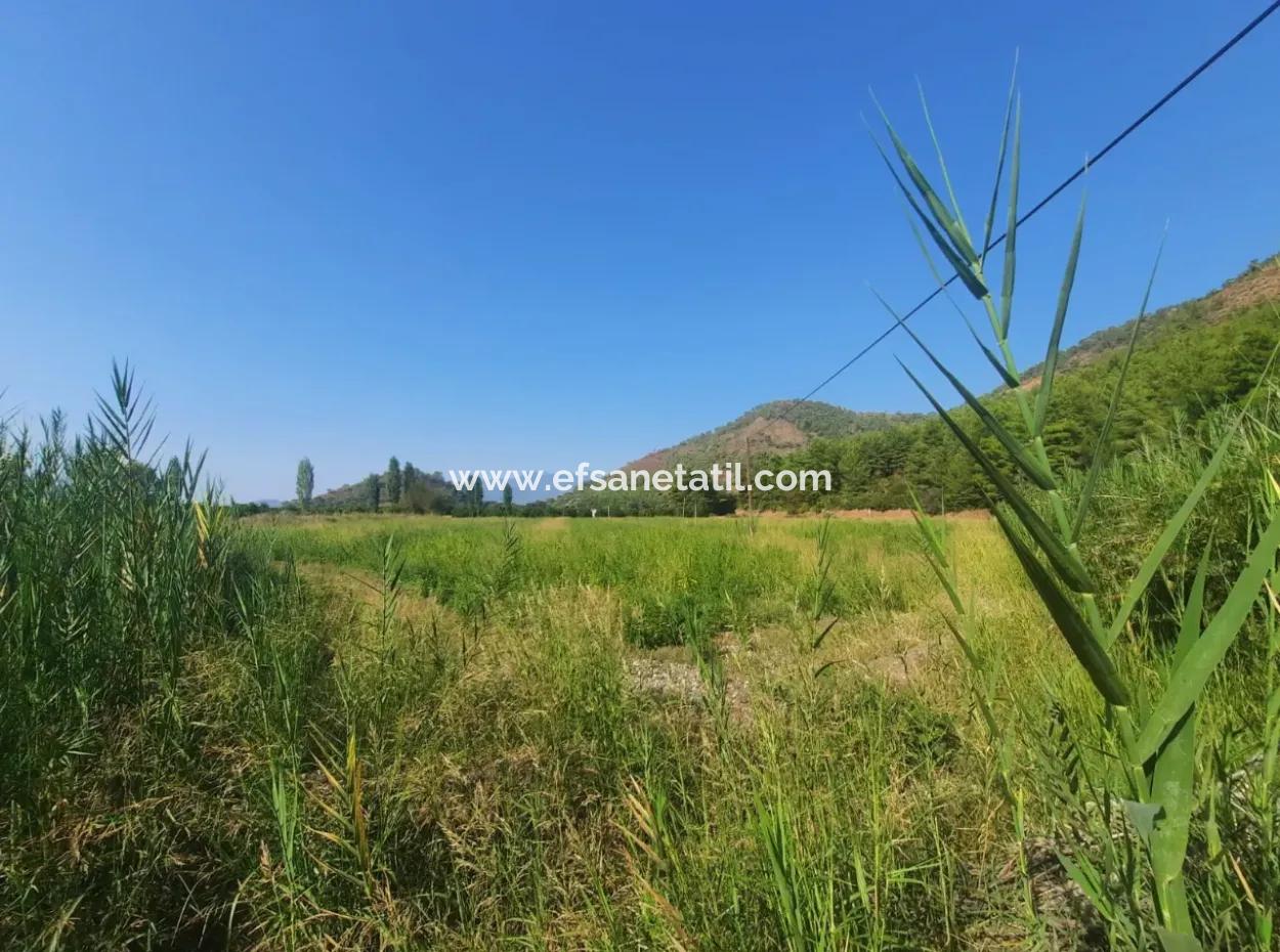 Muğla Ortaca Ekşiliyurtta 8.000 M2 Verimli Arazi Satılık