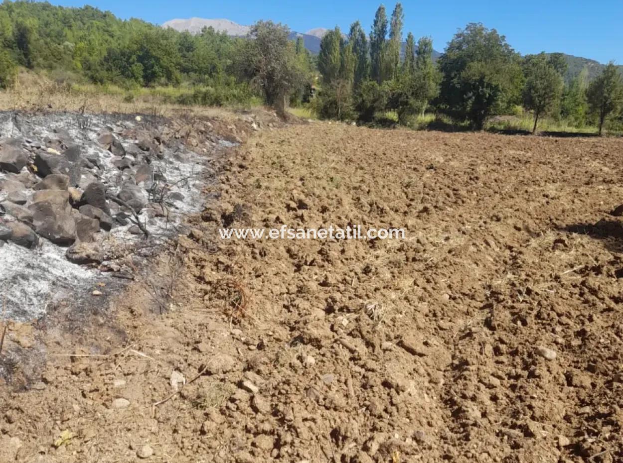 Denizli Beyağaç Yeniçeşmede 2700 M2 Müstakil Arazi Satılık