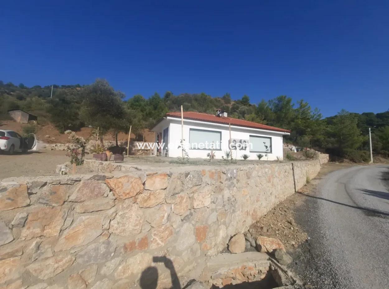 Muğla Gökbelde 1700 M2 Müstakil Arazide 2 Adet 1+1 Apart Daire Satılık