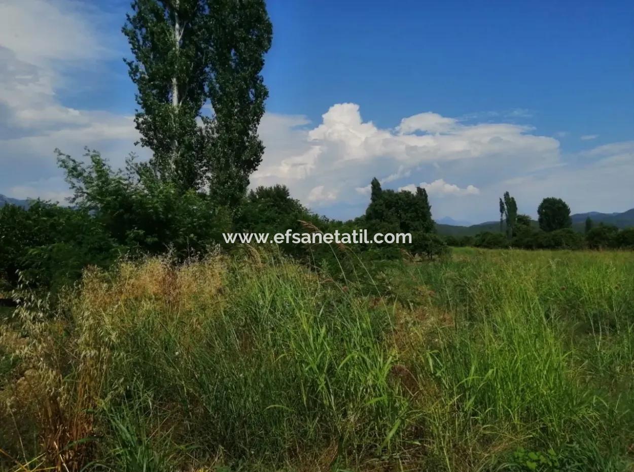 Köyceğiz Beyobasında Satılık Kelepir Tarla