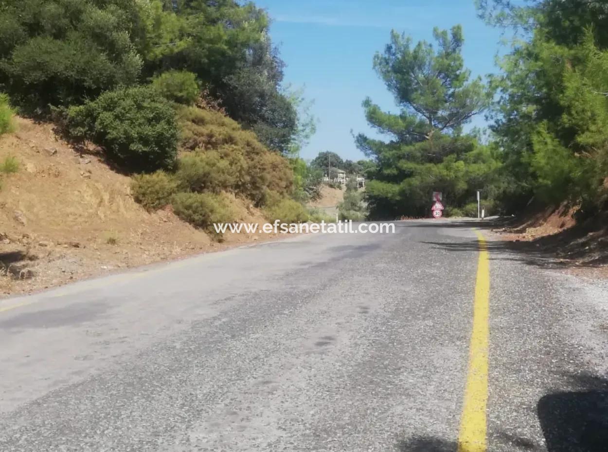 Muğla Köyceğiz Çandır Mah. 5000 M2 2B Tarla Satılık