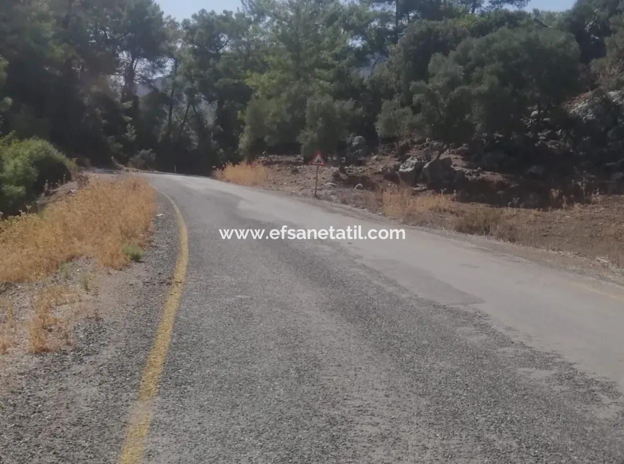 Muğla Köyceğiz Çandır Mah. 5000 M2 2B Tarla Satılık