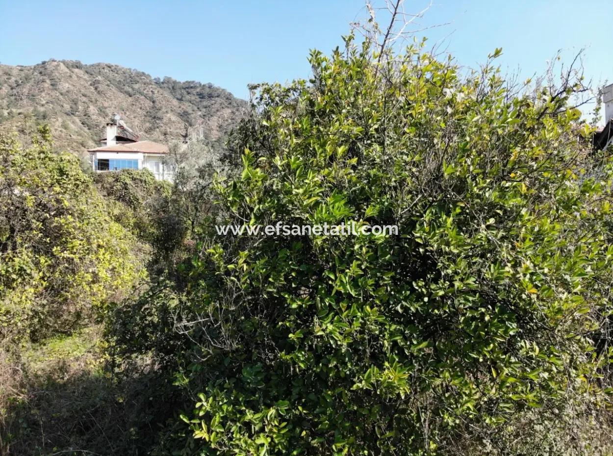 Ortacada Ana Yola Cephe 850 M2 Ticari+Konut İmarlı Arsa Satılık