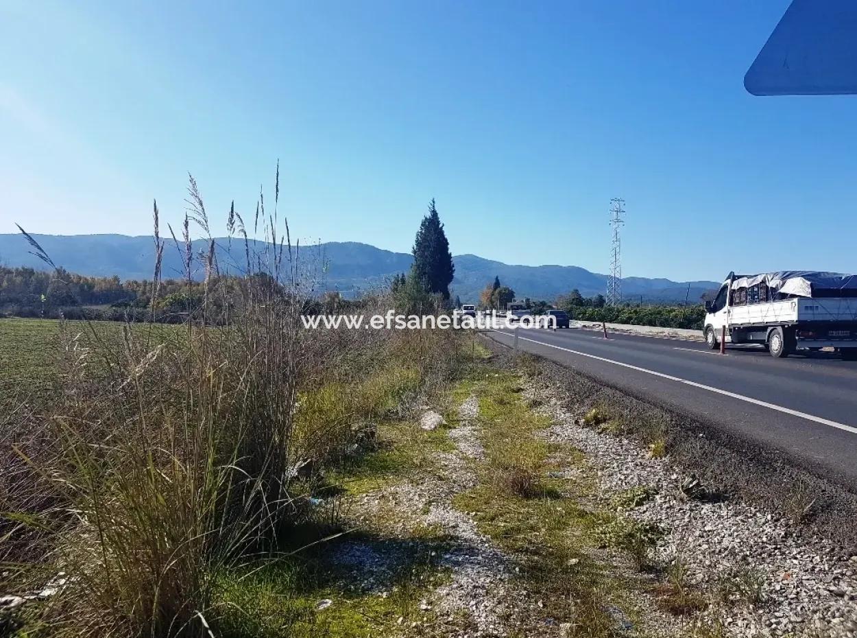 Döğüşbelen De Anayola Sıfır Arazi Satılık