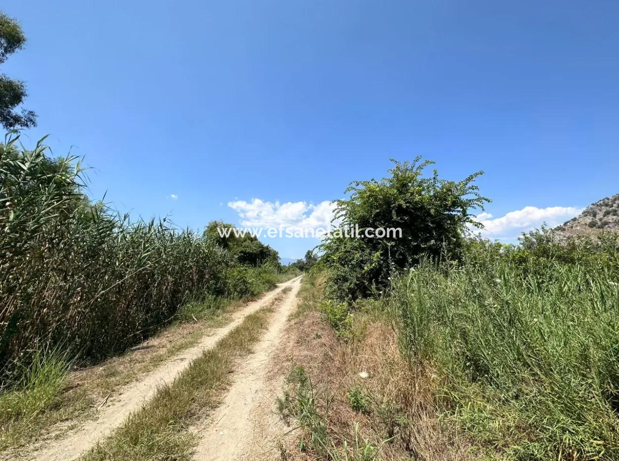 Dalyanda 970 M2 Rızai Taksimli Hisse Satılık