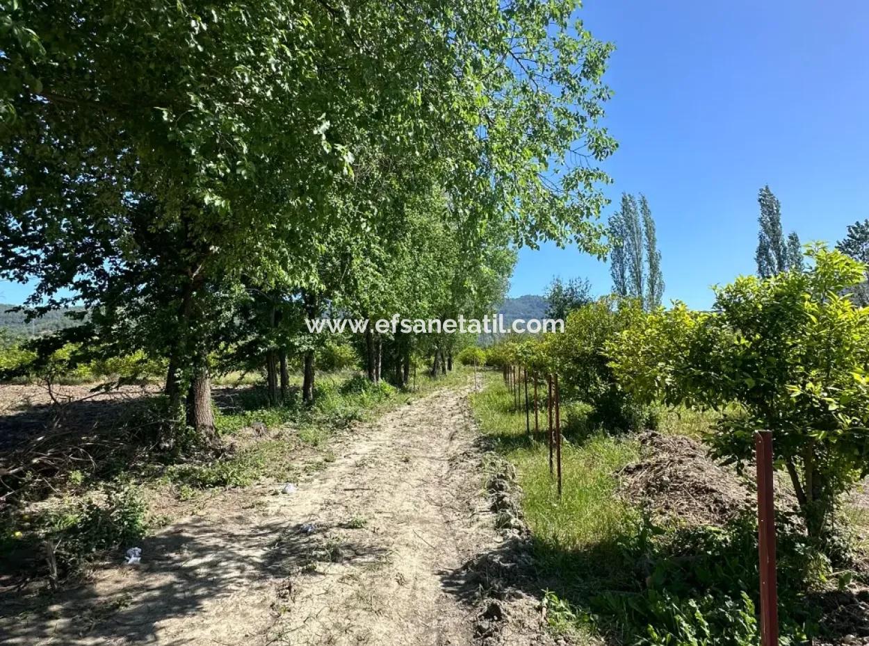 Okçular Da Satılık 500 M2