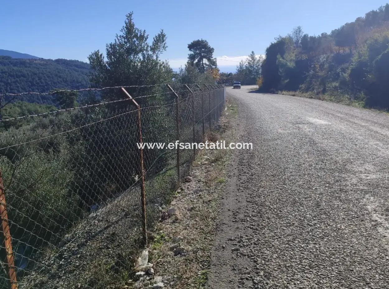 Antalya Finike Alacadağda Deniz Ve Doğa Manzaralı 8500 M2 Arazide 120 M2, 3+1 Tek Katlı Ev Satılık