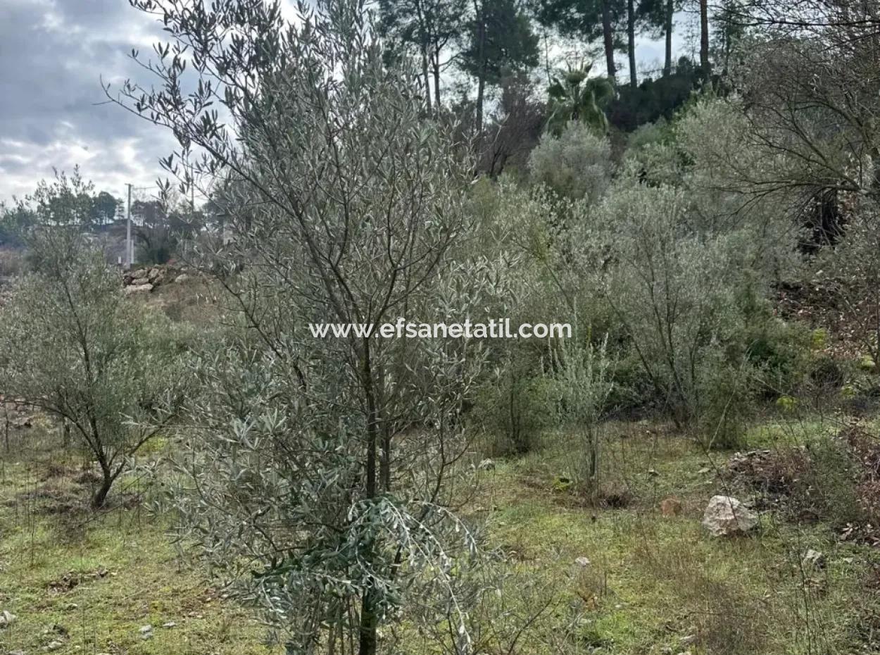 Fethiye Gökçeovacıkta Satılık 1709 M2