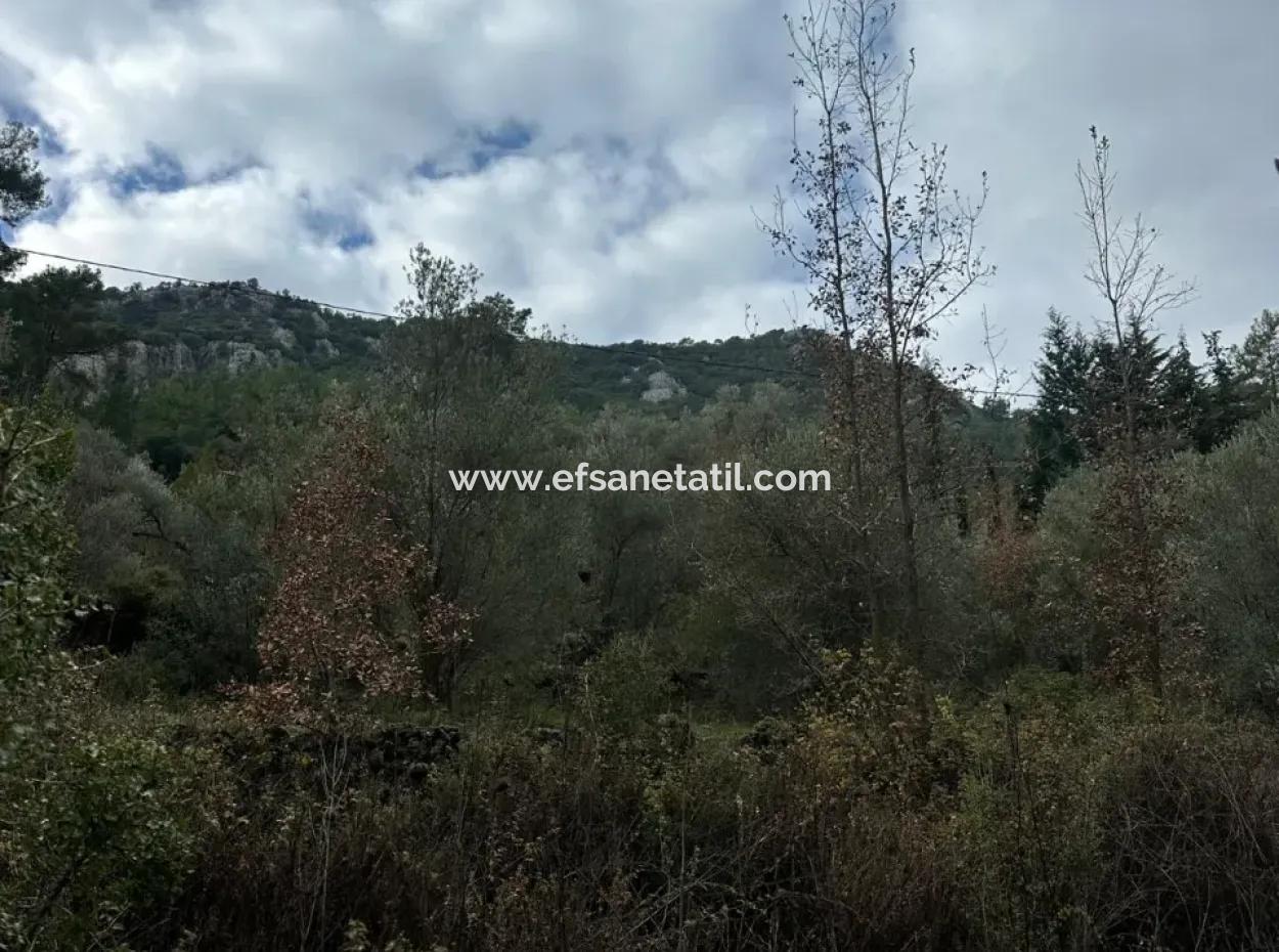 Fethiye Gökçeovacıkta Satılık 1709 M2