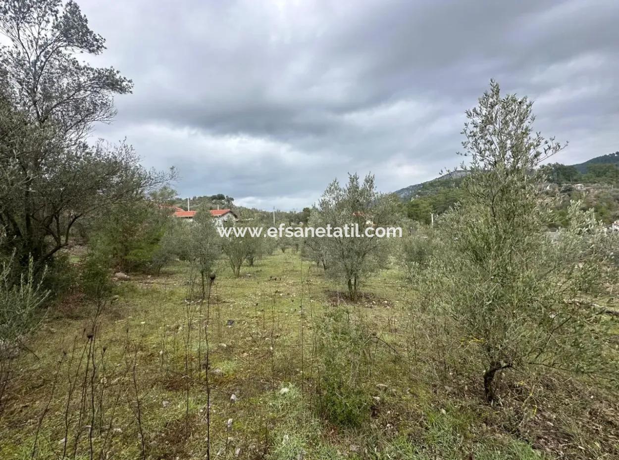 Fethiye Gökçeovacıkta Satılık 1709 M2