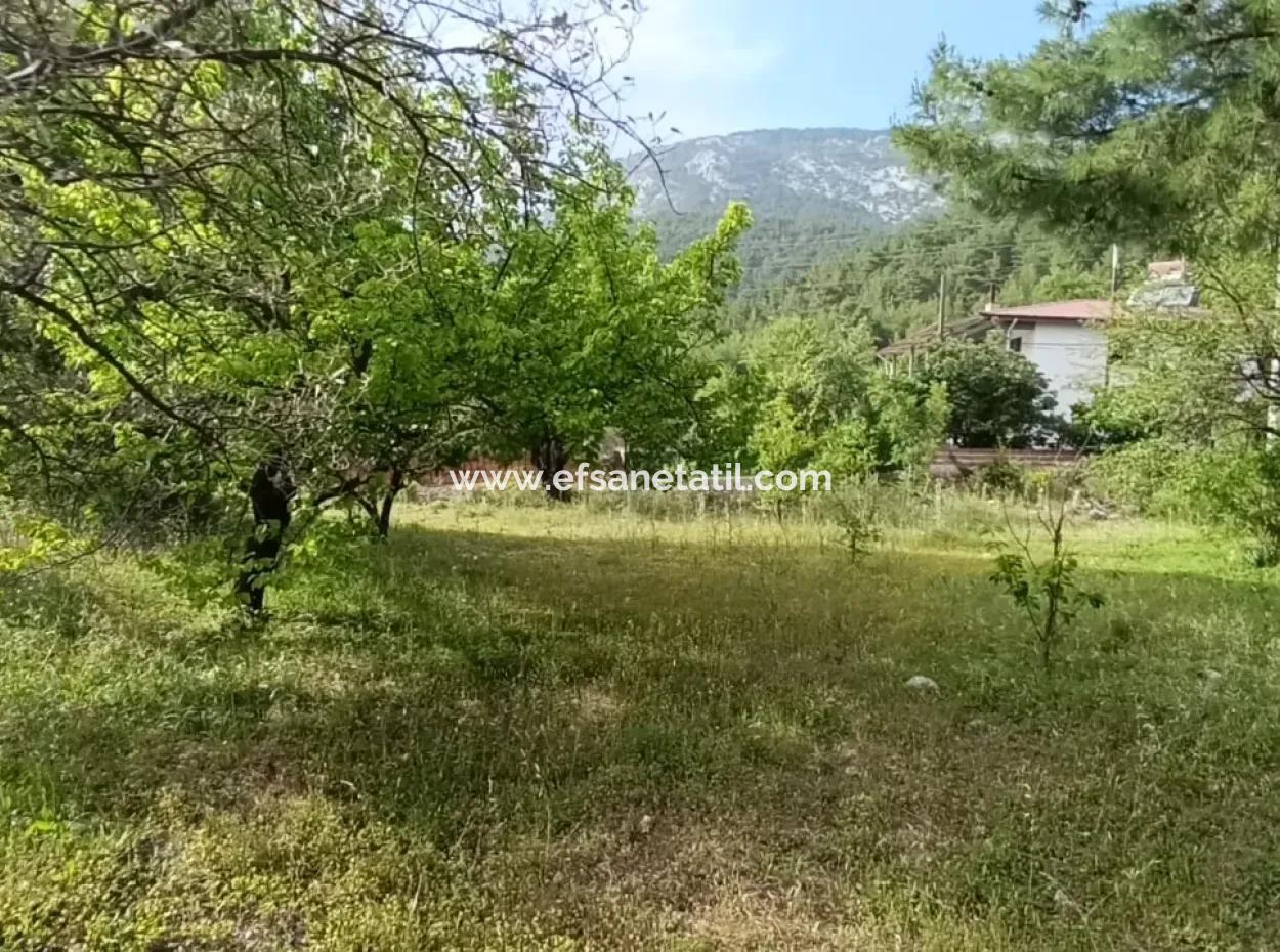 Muğla Menteşe Yaraş'ta Köy İçinde İmarlı 1228 M2 Arsa Ve Kargır Ev Satılık.   
